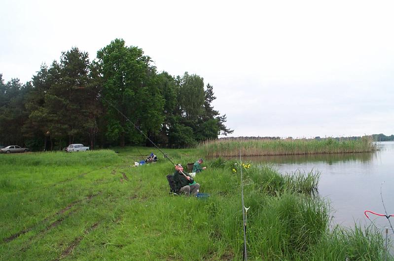 Werder Pok 02 2.jpg